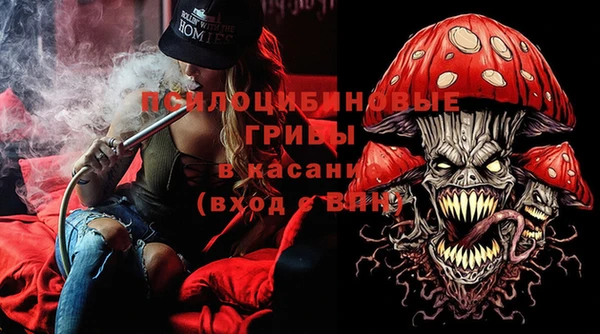гидропоника Алзамай