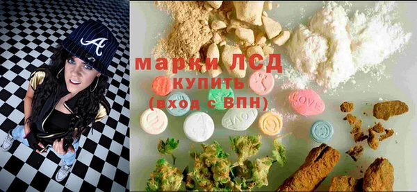 гидропоника Алзамай
