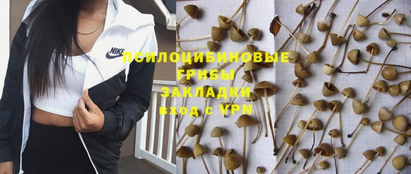 бутират Алексин